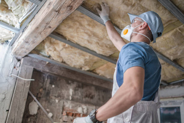 Best Insulation Materials and Products in Aspermont, TX