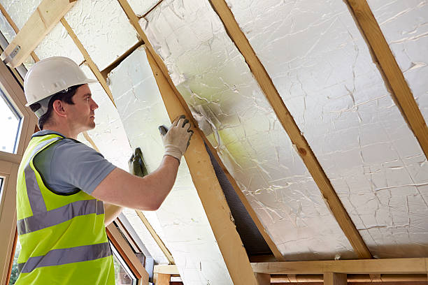 Best Insulation Maintenance and Repair in Aspermont, TX